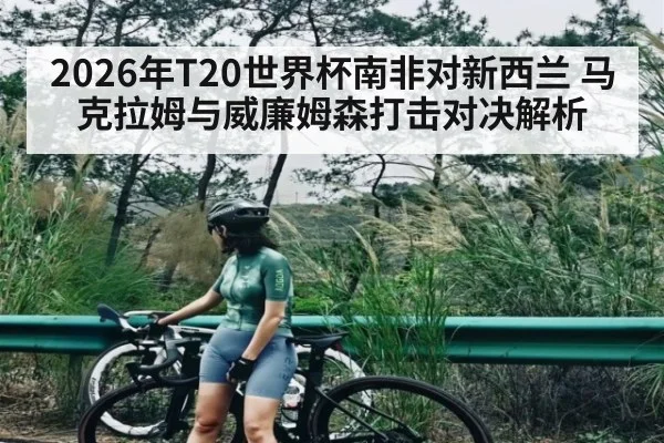 2026年T20世界杯南非对新西兰 马克拉姆与威廉姆森打击对决解析